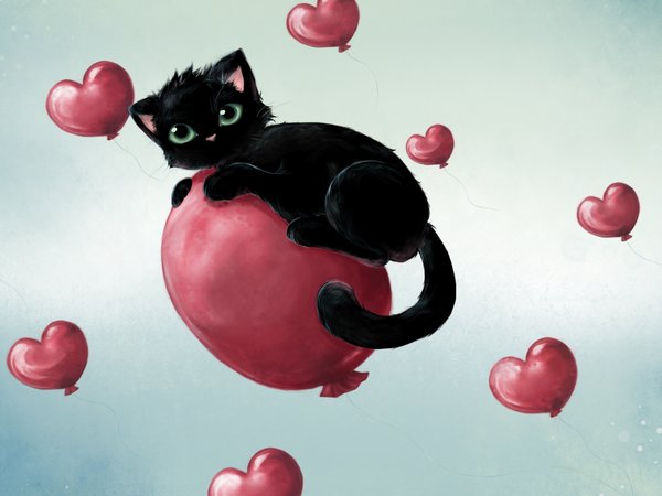 воздушные, котенок, сердечки, черный, шарики