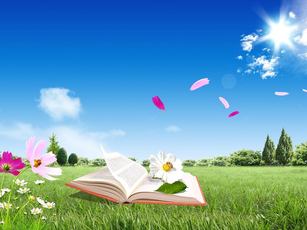 книга, книжка, листья, небо, облака голубая, цветы