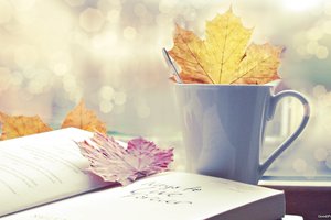 Обои на рабочий стол: autumn, bokeh, книга, листья, осень, чашка