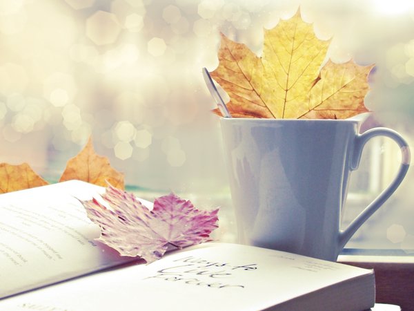 autumn, bokeh, книга, листья, осень, чашка