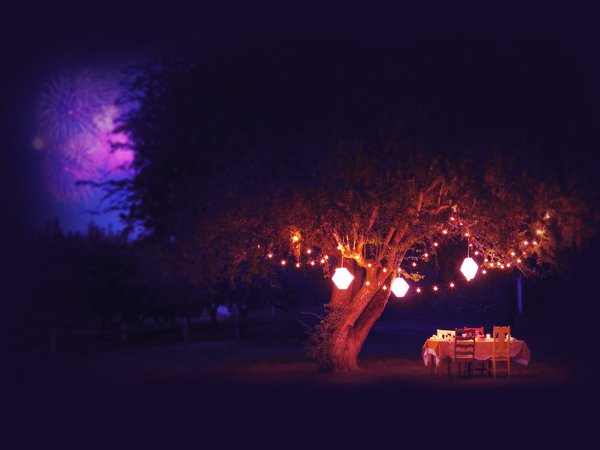дерево, лето, ночь, салюты, стол, фейерверк, фонари