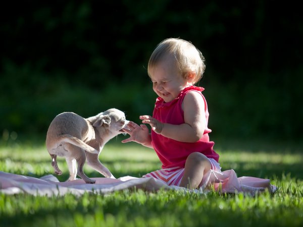 настроение, ребёнок, собака, трава