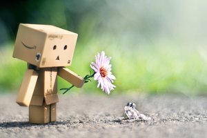 Обои на рабочий стол: danbo, данбо, дружба