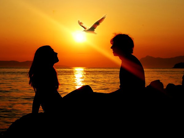 sunset, together8, девушка, закат, лето, луч, любовь, море, мужчина, птица, свобода, силуэт, солнце, чайка