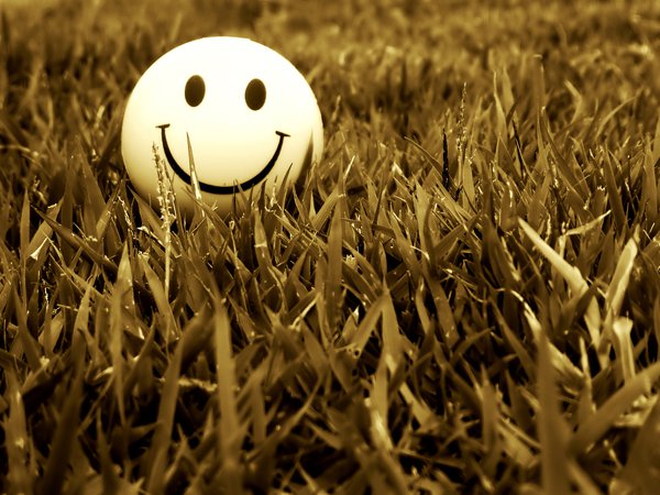 smile, настроение, смайл, трава, улыбка