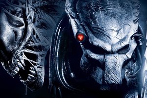 Обои на рабочий стол: aliens vs predator, хищник, чужой