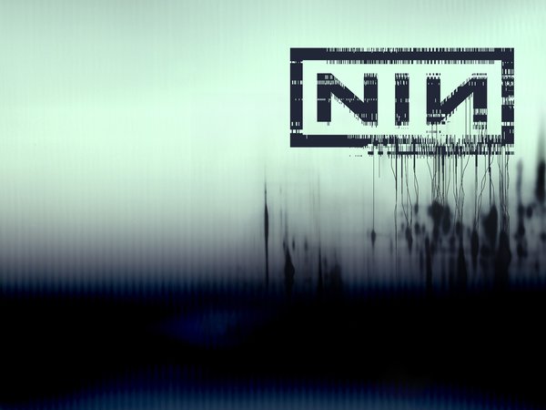 nin, группа, название