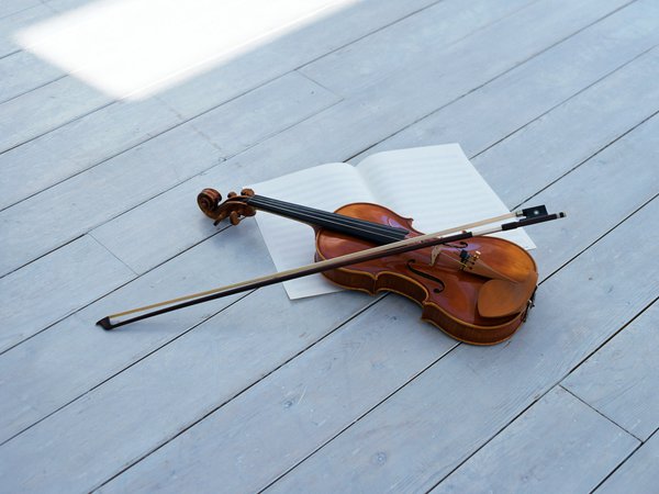 bow, string musical instrument, violin, скрипка, смычок, струнный музыкальный инструмент