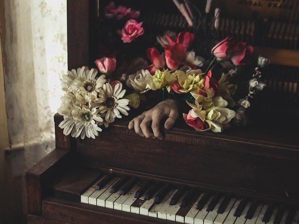 музыка, пианино, рука, цветы