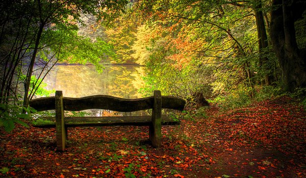Обои на рабочий стол: деревья, озеро, осенью, пейзаж, природы