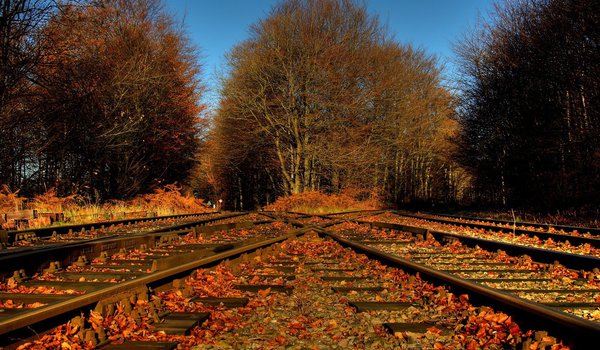 Обои на рабочий стол: железная дорога, листья, осень, природа