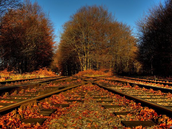железная дорога, листья, осень, природа