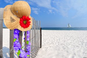 Обои на рабочий стол: летом, небо, облака, пейзаж, песок, пляж, природы, цветы, шляпа