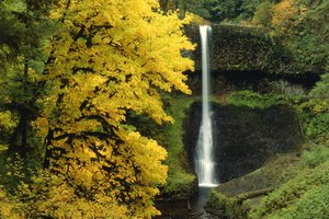 Обои на рабочий стол: водопад, деревья, лес, осень, природа