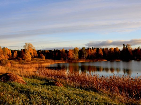 закат, озеро, осень, пейзаж, русский север.архангельская тайга