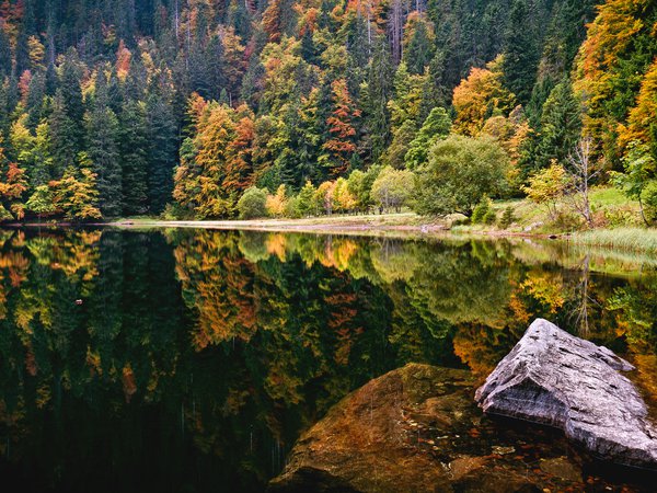 камень, лес, озеро, осень