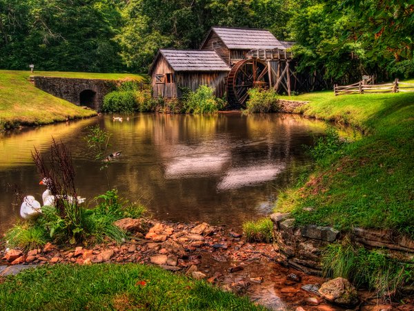 architecture, beautiful, colors, cool, forest, grass, green, hdr, landscape, mill, nature, nice, old, river, scenery, view, watermill, архитектура, зелёная, красивая, лес, мельницы, пейзаж, природа, река, старые, трава