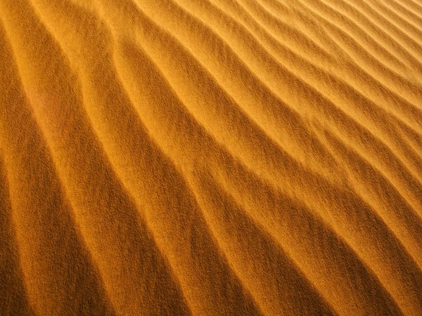 beach wallpapers, sand wallpapers, барханы, берег, ветер, желтые, желтый, заставки для рабочего стола, лучшие обои для рабочего стола, макро обои, минимализм, обои для рабочего стола, обои на рабочий стол, оранжевые, оранжевый, пески, песок, песчинка, песчинки, пляжи, побережье, пустыни, пустыня, пыль, текстура, текстуры, фоновые рисунки, широкоформатные обои, широкоэкранные обои