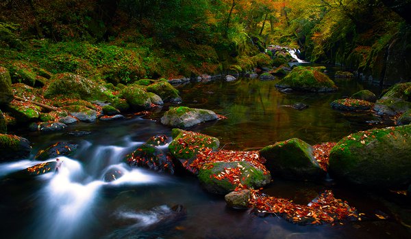 Обои на рабочий стол: камни, лес, листва, осень, поток, природа, река