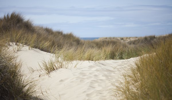 Обои на рабочий стол: дюны, море, небо, песок, природа, трава