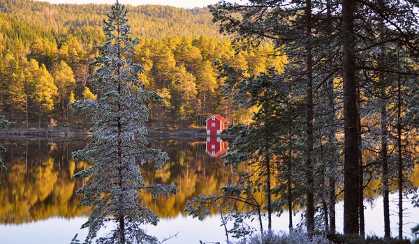 Обои на рабочий стол: autumn, forest, norway, берег, деревья, домик, лес, норвегия, осень, отражение, река, хвоя