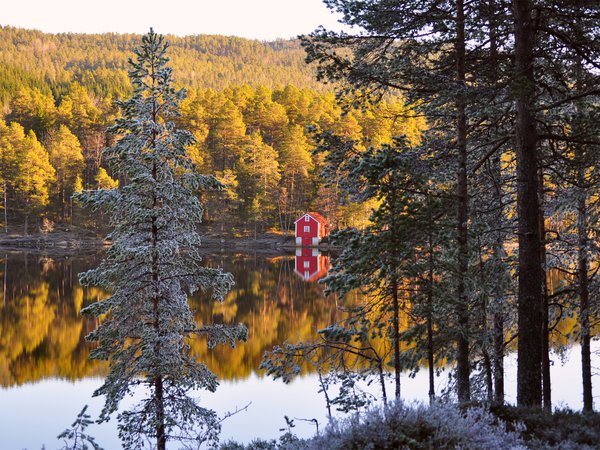 autumn, forest, norway, берег, деревья, домик, лес, норвегия, осень, отражение, река, хвоя