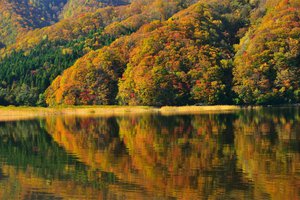 Обои на рабочий стол: autumn, Fukushima, japan, lake Akimoto, берег, деревья, озеро Акимото, отражение, Фукусима, япония