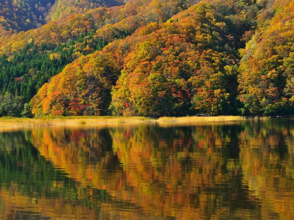 autumn, Fukushima, japan, lake Akimoto, берег, деревья, озеро Акимото, отражение, Фукусима, япония