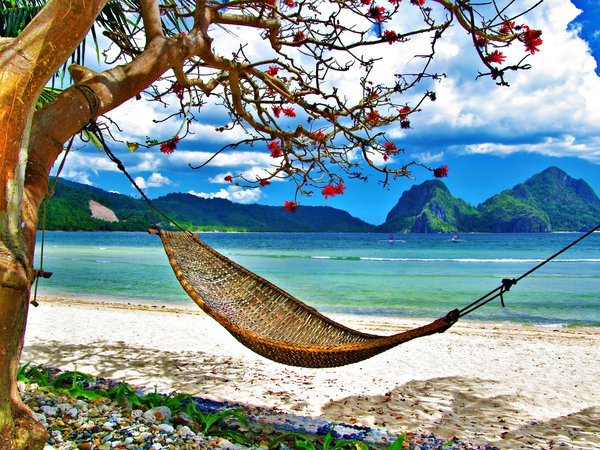 beach, clouds, exotic, grass, hammock, landscape, mountains, nature, ocean, sea, sky, summer, tropical