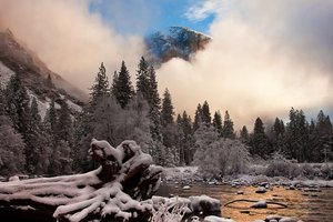 Обои на рабочий стол: Yosemite National Park, горы, иней, калифорния, природа, снег