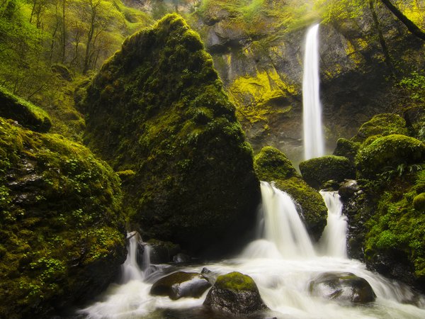 водопад, камни, лес, мох, природа, река, трава