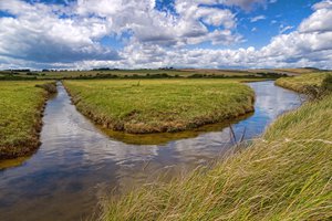 Обои на рабочий стол: вода, канал, облака, река, трава