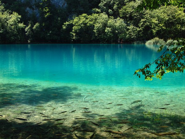 Plitvice Lake, вода, голубая, озеро, природа, рыбы