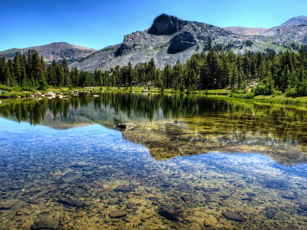 Yosemite National Park, горы, лес, озеро, пейзаж, природа, река