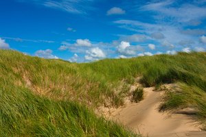 Обои на рабочий стол: дюны, зелень, небо, облака, песок, солнечно, трава, холмы