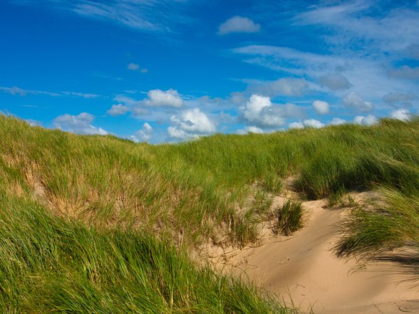 дюны, зелень, небо, облака, песок, солнечно, трава, холмы