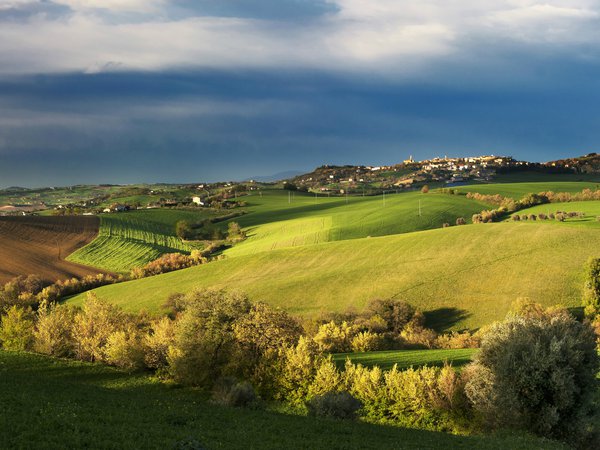 деревья, италия, небо, облака, осень, поле, посёлок, синее, Тоскана