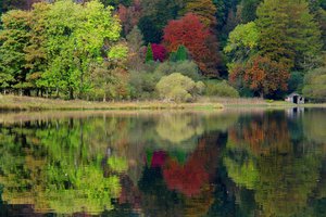 Обои на рабочий стол: caeciliametella Photography, england, Grasmere, united kingdom, англия, великобритания, деревья, лес, озеро, осень, природа