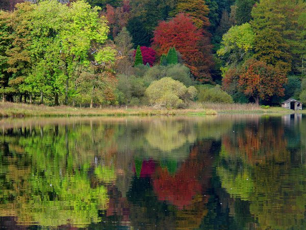 caeciliametella Photography, england, Grasmere, united kingdom, англия, великобритания, деревья, лес, озеро, осень, природа