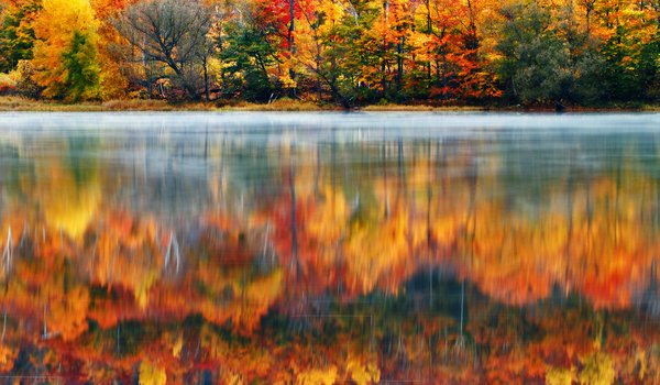 Обои на рабочий стол: Klaus Brandstaetter Photography, краски, лес, Новая Англия, Нью-Гэмпшир, озеро, природа, сша, утро