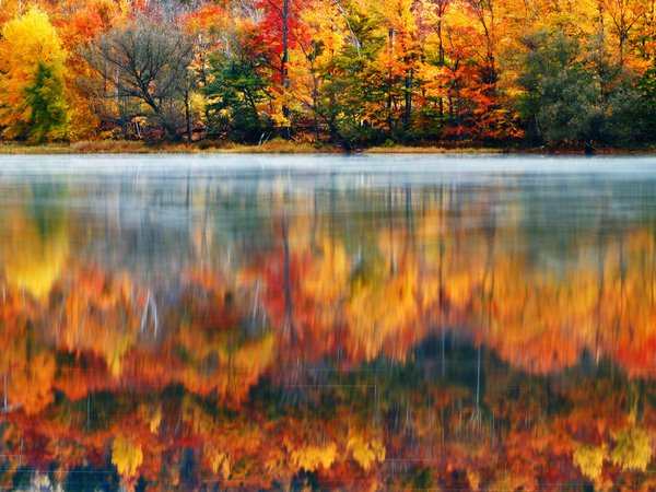 Klaus Brandstaetter Photography, краски, лес, Новая Англия, Нью-Гэмпшир, озеро, природа, сша, утро