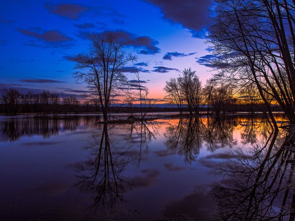 вечер, деревья, закат, канада, небо, облака, озеро, Онтарио, оранжевый, отражение, синее