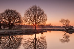 Обои на рабочий стол: River Stour, Suffolk, uk, деревья, иней, озеро, природа, утро