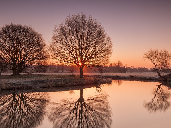 River Stour, Suffolk, uk, деревья, иней, озеро, природа, утро