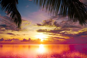 Обои на рабочий стол: beautiful, clouds, landscape, nature, scene, sea, sky, Sunset between Palms, water, вода, Закат между Пальмы, красивые, море, небо, облака, пейзаж, природа, сцены