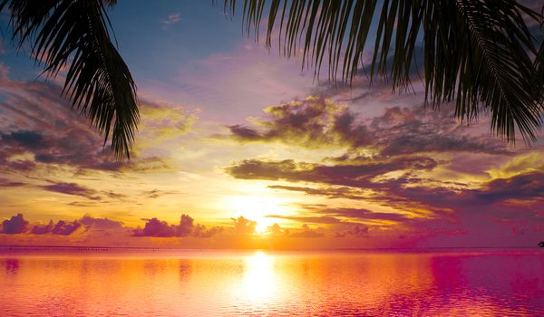 Обои на рабочий стол: beautiful, clouds, landscape, nature, scene, sea, sky, Sunset between Palms, water, вода, Закат между Пальмы, красивые, море, небо, облака, пейзаж, природа, сцены