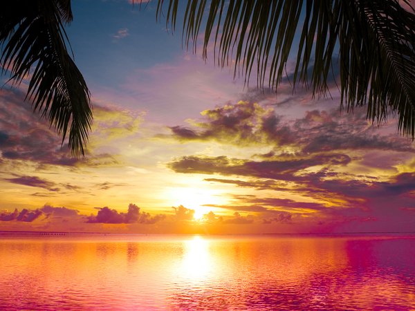 beautiful, clouds, landscape, nature, scene, sea, sky, Sunset between Palms, water, вода, Закат между Пальмы, красивые, море, небо, облака, пейзаж, природа, сцены