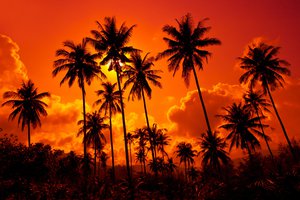 Обои на рабочий стол: beautiful, clouds, Coconut palms, landscape, nature, sand beach, sky, sunset. Thailand, вода, закат. Таиланд, Кокосовые пальмы, красивые, небо, облака, пейзаж, песчаный пляж, природа