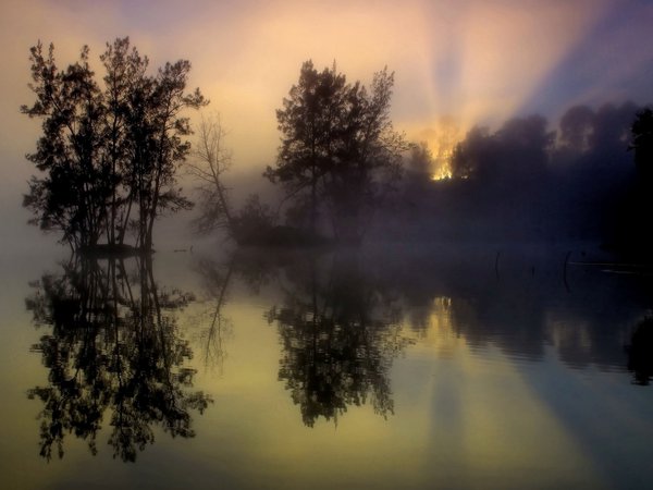 восход, деревья, озеро, отражение, туман, утро