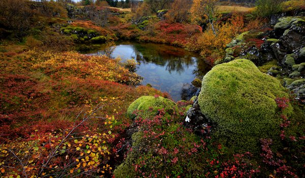 Обои на рабочий стол: National Park Thingvellir, деревья, исландия, камни, мох, озеро, осень